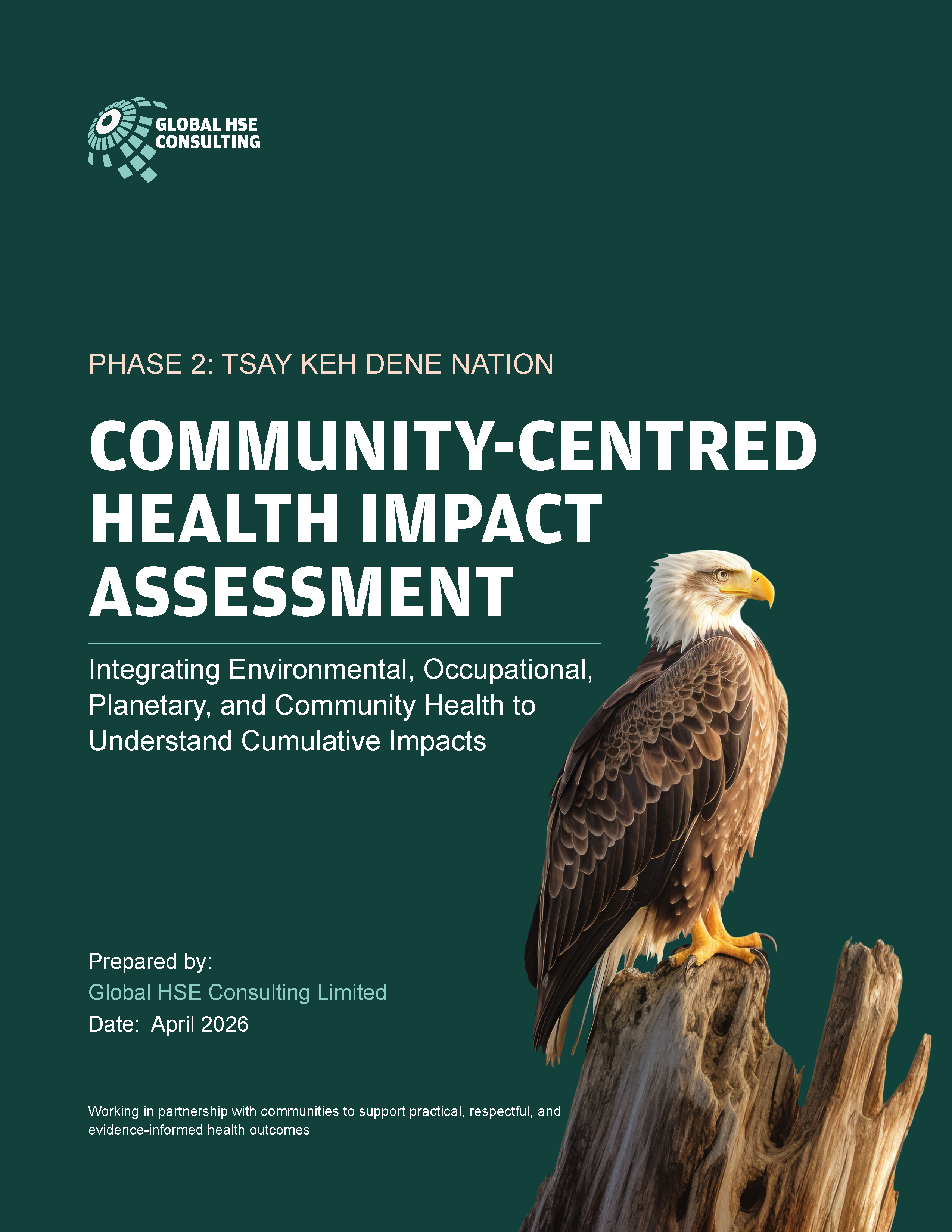 Final executive proposal cover screenshot