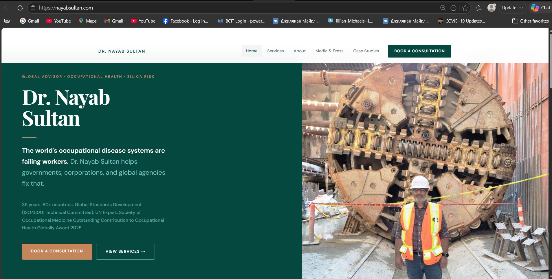 Screenshot of the redesigned Nayab Sultan homepage