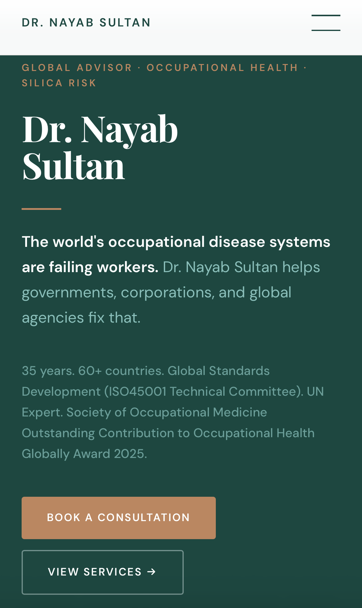 Mobile screenshot of the redesigned Nayab Sultan homepage