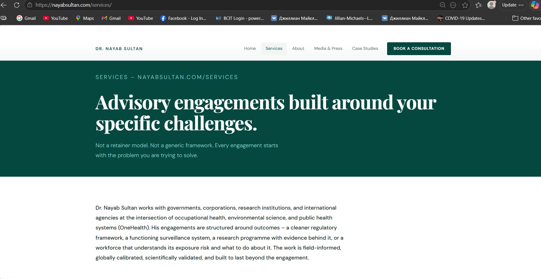 Screenshot of the redesigned Nayab Sultan services page