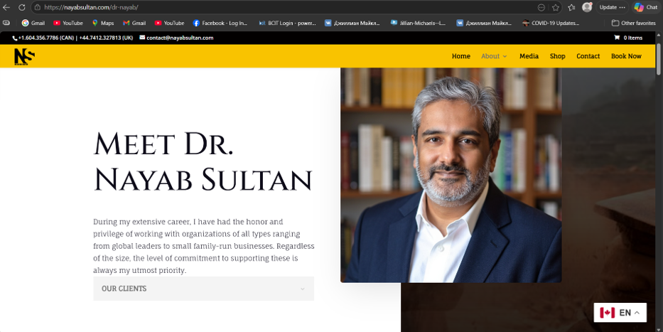 Screenshot of the previous Nayab Sultan homepage