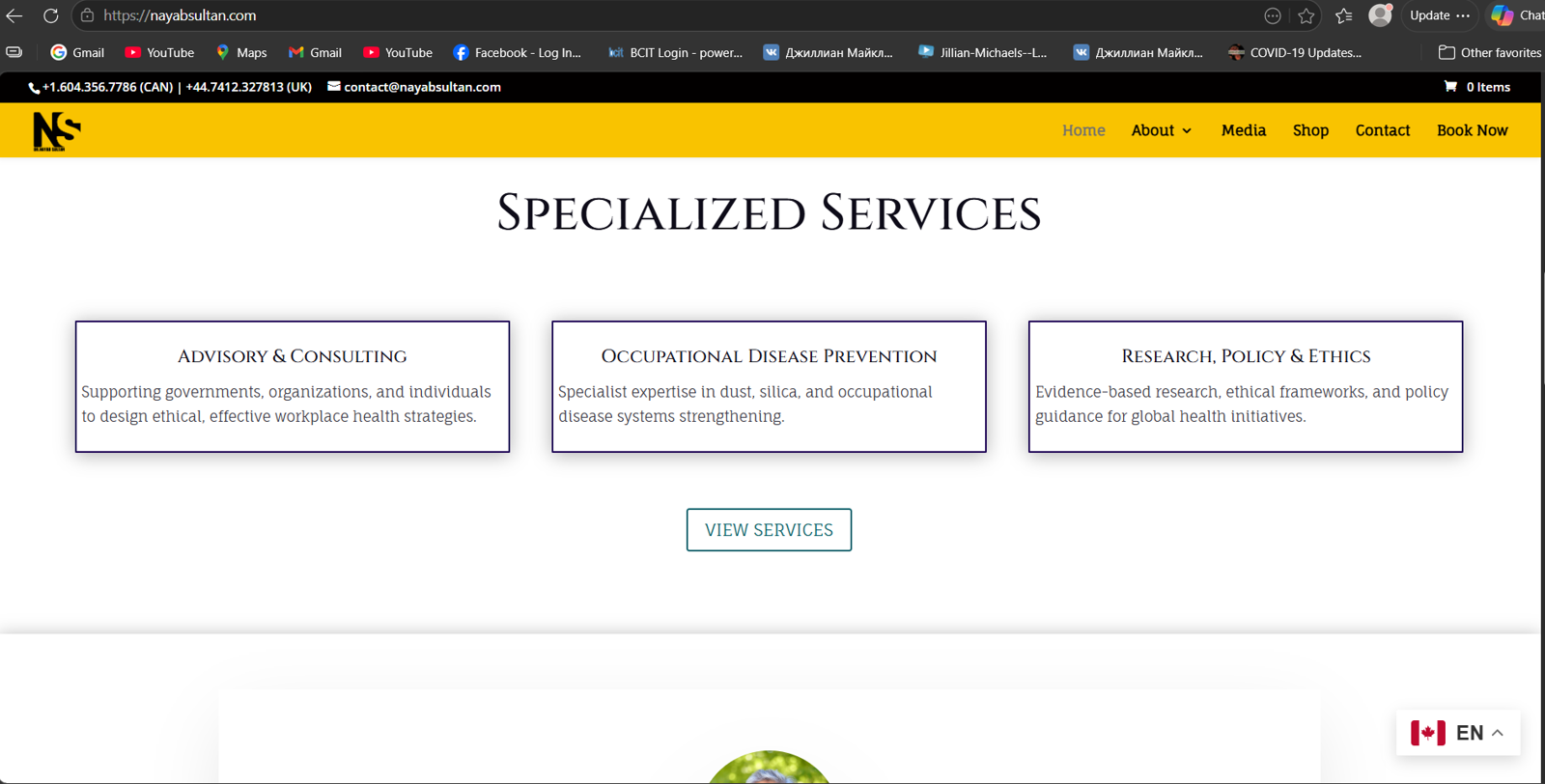 Screenshot of the previous Nayab Sultan services page