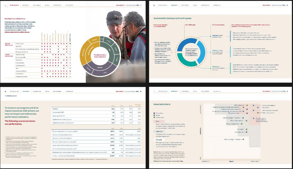 Enterprise ESG report slide grid