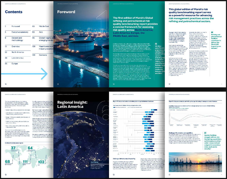 Enterprise risk benchmarking report pages