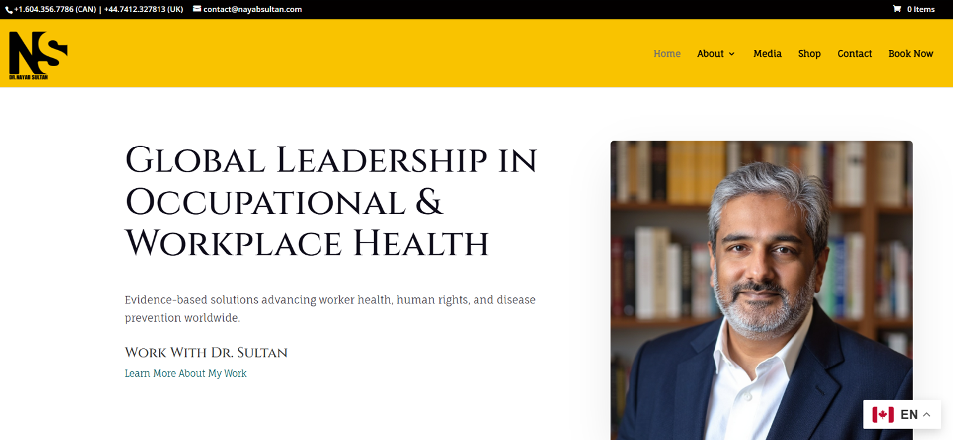 Dr. Nayab Sultan generic personal brand WordPress site before redesign